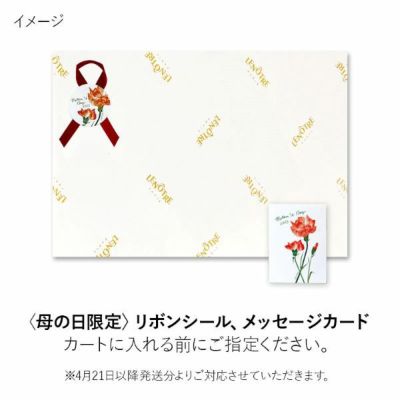 LEN&#212;TRE マドレーヌ エ フィナンシェ 15個入3